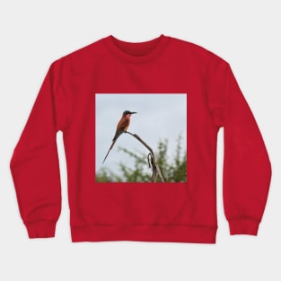 Southern Carmine Bee-Eater Crewneck Sweatshirt